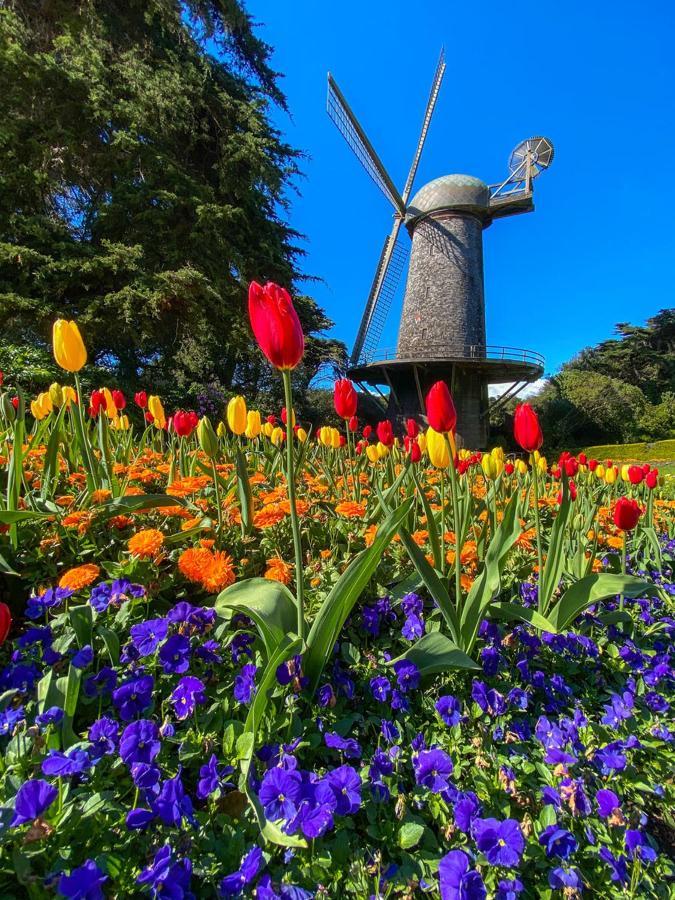 Golden Gate Park Suite San Francisco Exterior foto